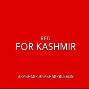 Meet your Posher, Saima